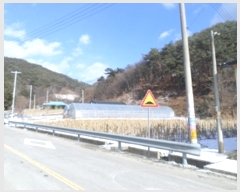  2024Ÿ��407145  �����