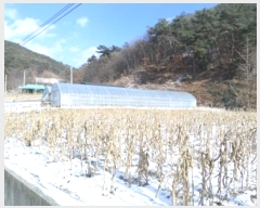  2024Ÿ��407145  �����