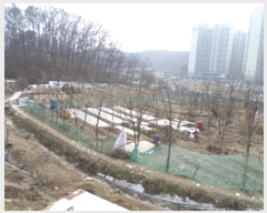  2024Ÿ��407183  ����