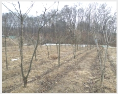  2024Ÿ��407183  ����