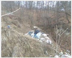  2024Ÿ��407183  ����