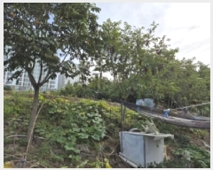  2024Ÿ��407183  ����