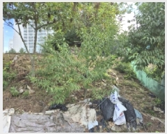  2024Ÿ��407183  ����