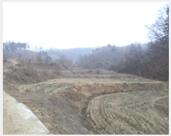  2024Ÿ407220  ֽ ȣ  163      ()