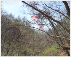  2024Ÿ711  Ⱦ õ ݸ 153-9      (Ӿ)