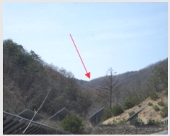  2024Ÿ711  Ⱦ õ ݸ 153-9      (Ӿ)