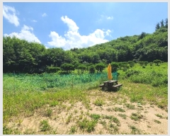  2024Ÿ2229  ֽ ʸ 帮 1152-4      (1)