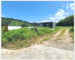  2024Ÿ2229  ֽ ʸ 帮 1152-4      (1)