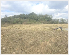  2024Ÿ3062  Ⱦ Ⱦ  2      (1)