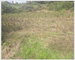  2024Ÿ3062  Ⱦ Ⱦ  2      (1)