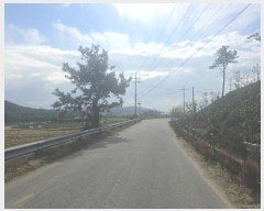  2024Ÿ3062  Ⱦ Ⱦ  2      (1)