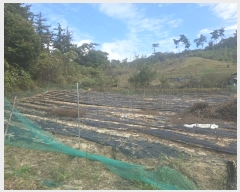  2024Ÿ3062  Ⱦ Ⱦ  2      (1)