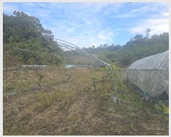  2024Ÿ3062  Ⱦ Ⱦ  2      (1)