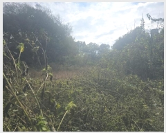  2024Ÿ3062  Ⱦ Ⱦ  2      (1)