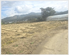  2024Ÿ3062  Ⱦ Ⱦ  2      (1)