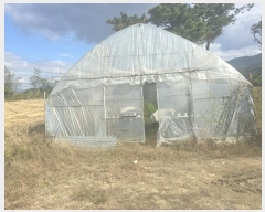  2024Ÿ3062  Ⱦ Ⱦ  2      (1)