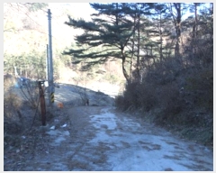  2024Ÿ3345  Ⱦ   148-6      (Ӿ)