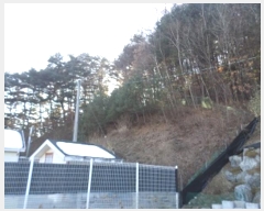  2024Ÿ3345  Ⱦ   148-6      (Ӿ)