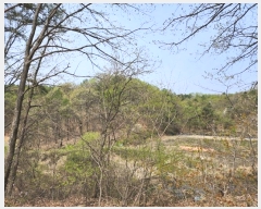  2024Ÿ��401802 ���� ���ֽ� ���굿 261-12       ����(�Ӿ�)���