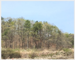  2024Ÿ��401802 ���� ���ֽ� ���굿 261-12       ����(�Ӿ�)���