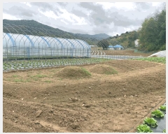  2024Ÿ��402041 ���� ���ֽ� ������ �ʼ��� 4, 1�� 1��115ȣ (���������Ʈ)   ����Ʈ���