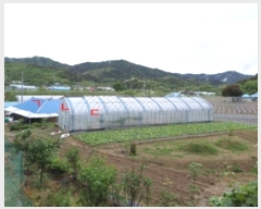  2024Ÿ��402041 ���� Ⱦ���� ��õ�� ���׸� 123-4      ����(��1)���