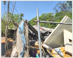  2024Ÿ402225  ֽ ȣ  420-1      ()