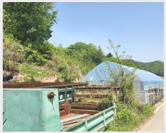  2024Ÿ402225  ֽ ȣ  420-1      ()