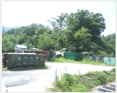  2024Ÿ402225  ֽ ȣ  420-1      ()