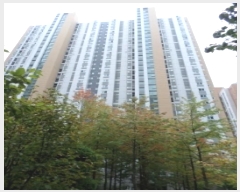  2024Ÿ405330  ֽ   397, 203 131304ȣ (ֱ̺ũ2(2-2))   Ʈ