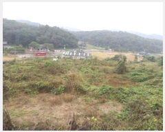  2024Ÿ405378  ֽ   157      ()