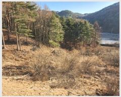  2024Ÿ��406456  ����