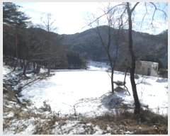  2024Ÿ��406456  ����