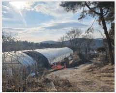  2024Ÿ407015  ֽ ʸ ϸ 17-4      ()