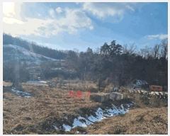  2024Ÿ407015  ֽ ʸ ϸ 17-4      ()