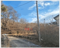  2024Ÿ407015  ֽ ʸ ϸ 17-4      ()