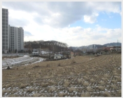  2024Ÿ407206  ֽ 嵿 961-1       (1)