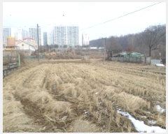  2024Ÿ407206  ֽ 嵿 961-1       (1)