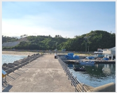  2024Ÿ��1199  �Ӿ߰��