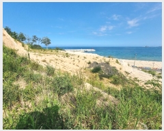  2024Ÿ��1199  �Ӿ߰��