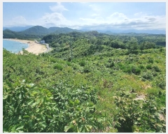  2024Ÿ��1199  �Ӿ߰��