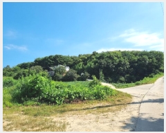  2024Ÿ��1199  �Ӿ߰��