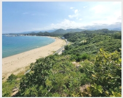  2024Ÿ��1199  �Ӿ߰��