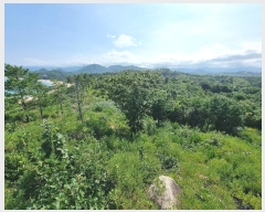  2024Ÿ��1199  �Ӿ߰��