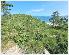  2024Ÿ��1199  �Ӿ߰��