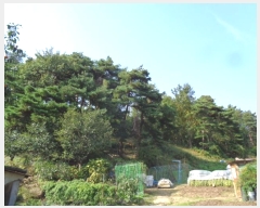  2024Ÿ1519   伺  203-4      (Ӿ)