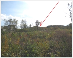  2024Ÿ1571   伺 ︮ 27-7      (Ӿ)