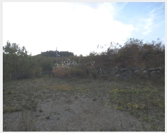  2024Ÿ1571   伺 ︮ 27-7      (Ӿ)