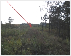  2024Ÿ1571   伺 ︮ 27-7      (Ӿ)