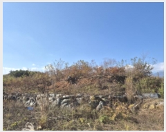  2024Ÿ1571   伺 ︮ 27-7      (Ӿ)